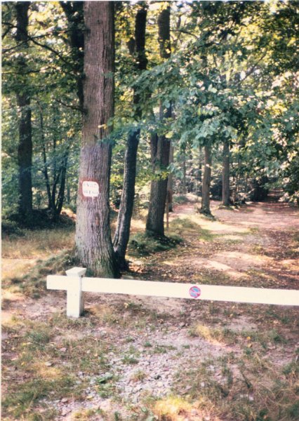 Forest Trails Between Chateauneuf and Bigeonnette Aug 1987.JPG