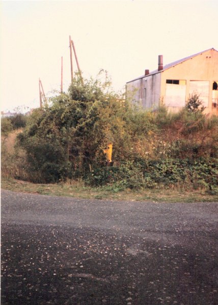 Yellow Fire Plug near Steam Plant at Margarette 6 Aug 1987.JPG